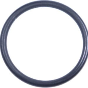 O-RING DW 20,5X2 FKM