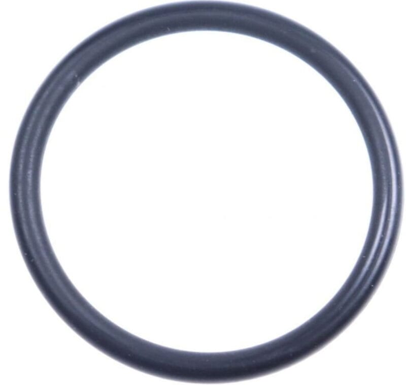 O-RING DW 20,5X2 FKM