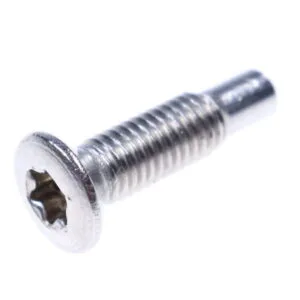 SKRUV (N M5X19,5-A2-TORX25) FÖR INFÄSTNING AV GÅNGJÄRN